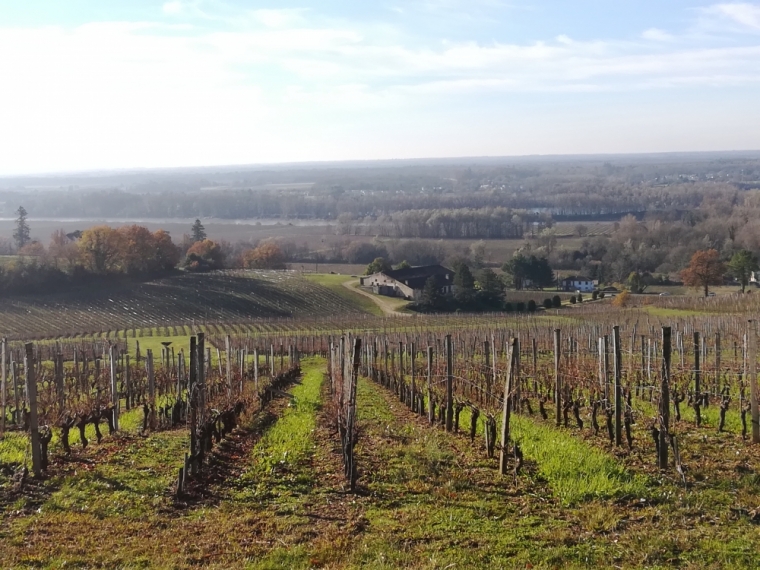 Balade en trottinette tout terrain, Rions, Rando Trotte