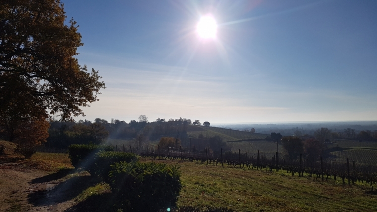 points de vue sur le vignoble Bordelais