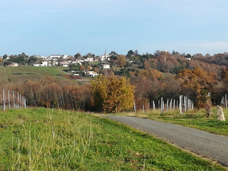 Visite de la région bordelaise