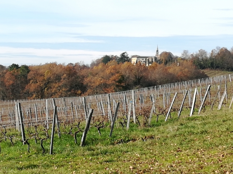 Randonnée en trottinette électrique tout terrain en Gironde