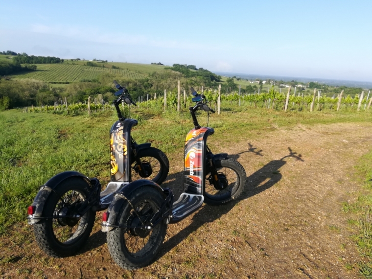 randonnée, activité, sport, loisir, visite, balade en sud gironde