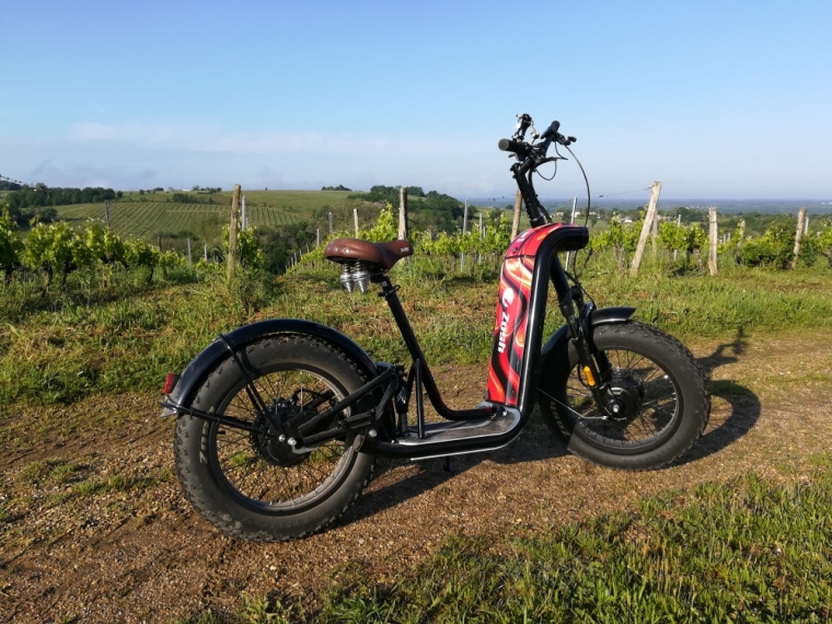 randonnée, activité, sport, loisir, visite, balade en sud gironde