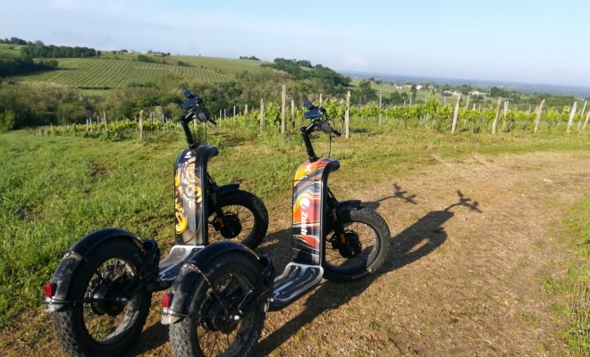 randonnée, activité, sport, loisir, visite, balade en sud gironde