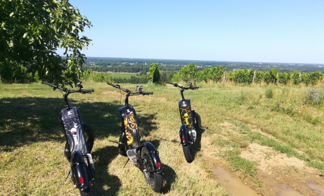 Randonnée, activité, sport, loisir, visite ou  balade entre amis au sud de Bordeaux en Gironde